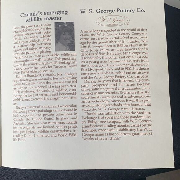 VINTAGE W S George Fine China A Mother’s Care Collector Plate by Joyce Bridges W - Picture 12 of 12